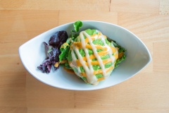 OishiAsianFusion_DinosaurEgg_001