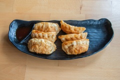 OishiAsianFusion_Gyoza_001