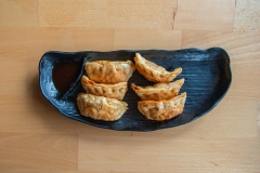 OishiAsianFusion_Gyoza_002