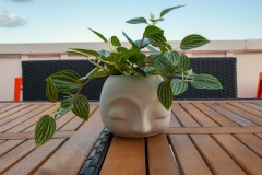 2121-Goodrich-Ave_075