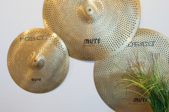 2121-Goodrich-Ave_087