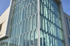 CSC_0310