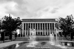 DSC_0238-3