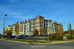 DSC_0621_edited-1