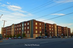 DSC_0681_edited-1